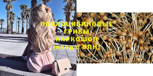 бутират Алексеевка