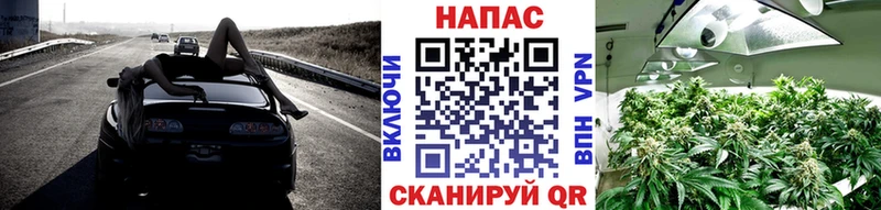 Конопля AK-47  Наволоки 